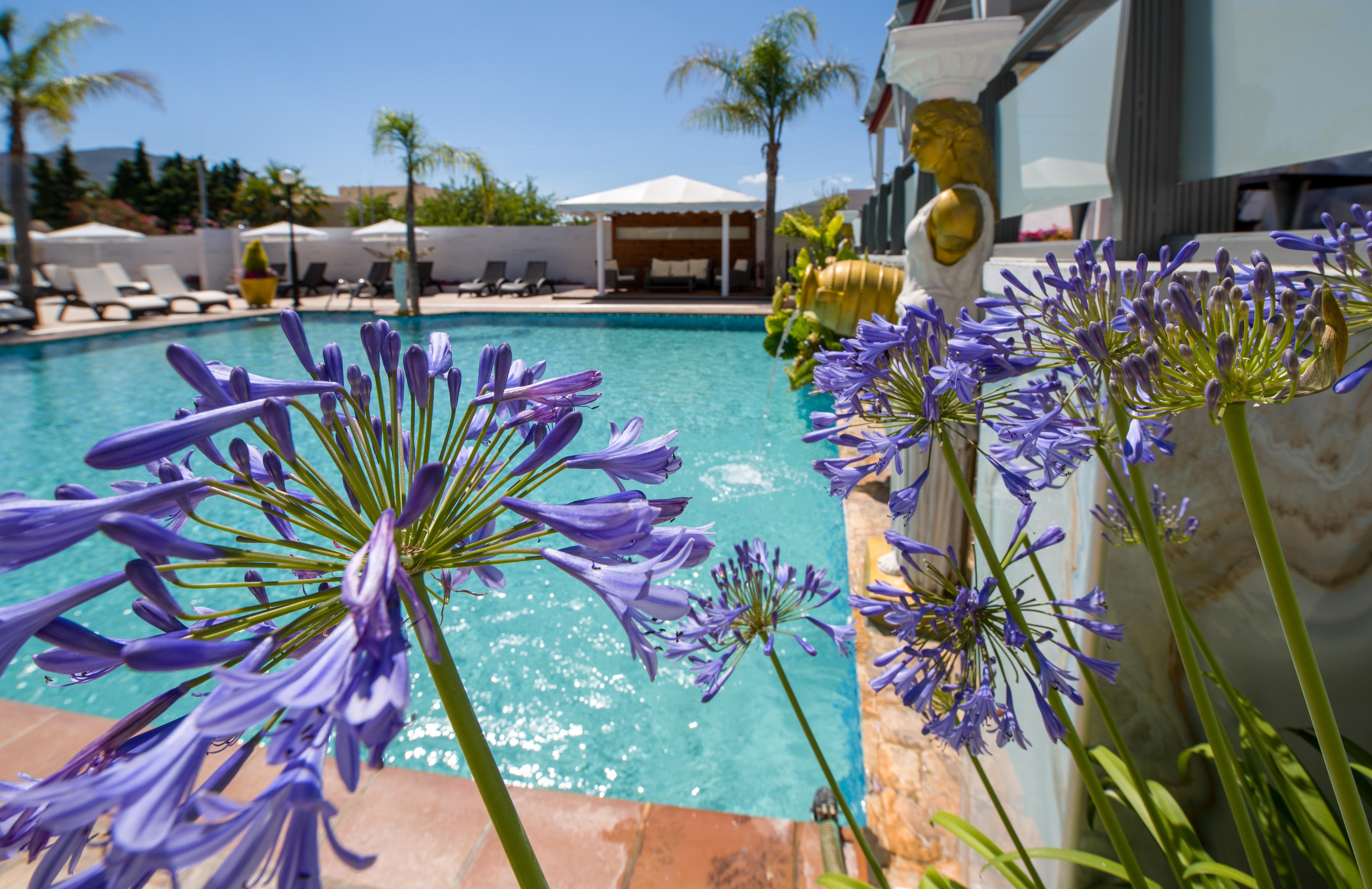 Paradice Hotel Luxury Suites-Near Zorbas Beach-Free Breakfast Stavros  Exterior photo