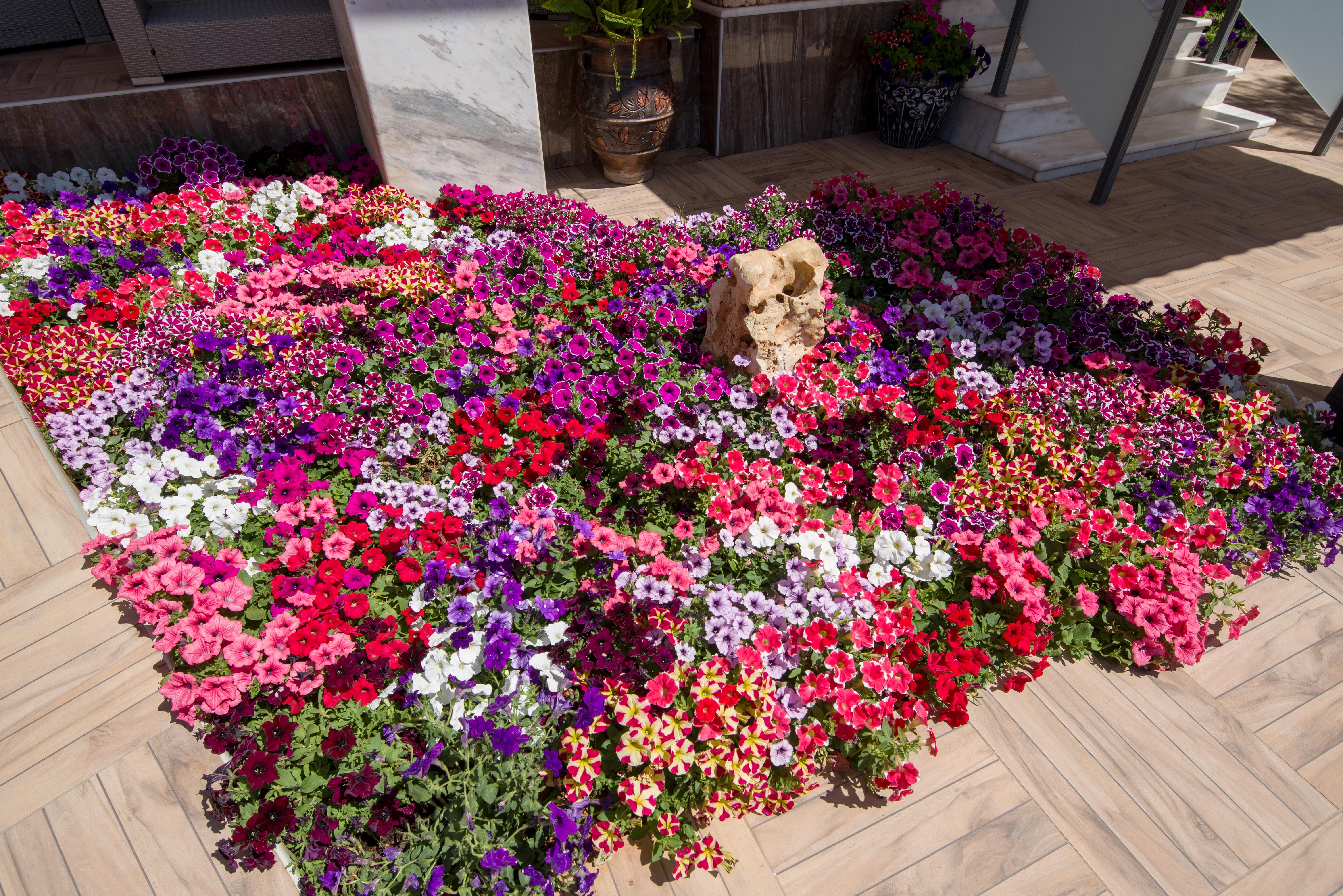 Paradice Hotel Luxury Suites-Near Zorbas Beach-Free Breakfast Stavros  Exterior photo